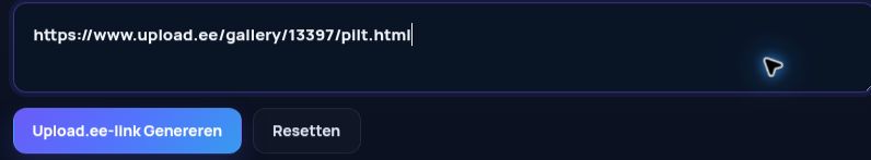 Echte Upload.ee-link in het MultiDebrid-invoerveld. Open om te vergroten.