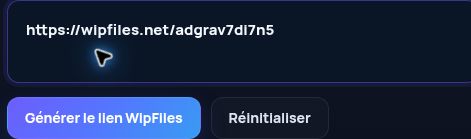 Véritable lien WipFiles.net dans le champ MultiDebrid. Ouvrez pour agrandir.